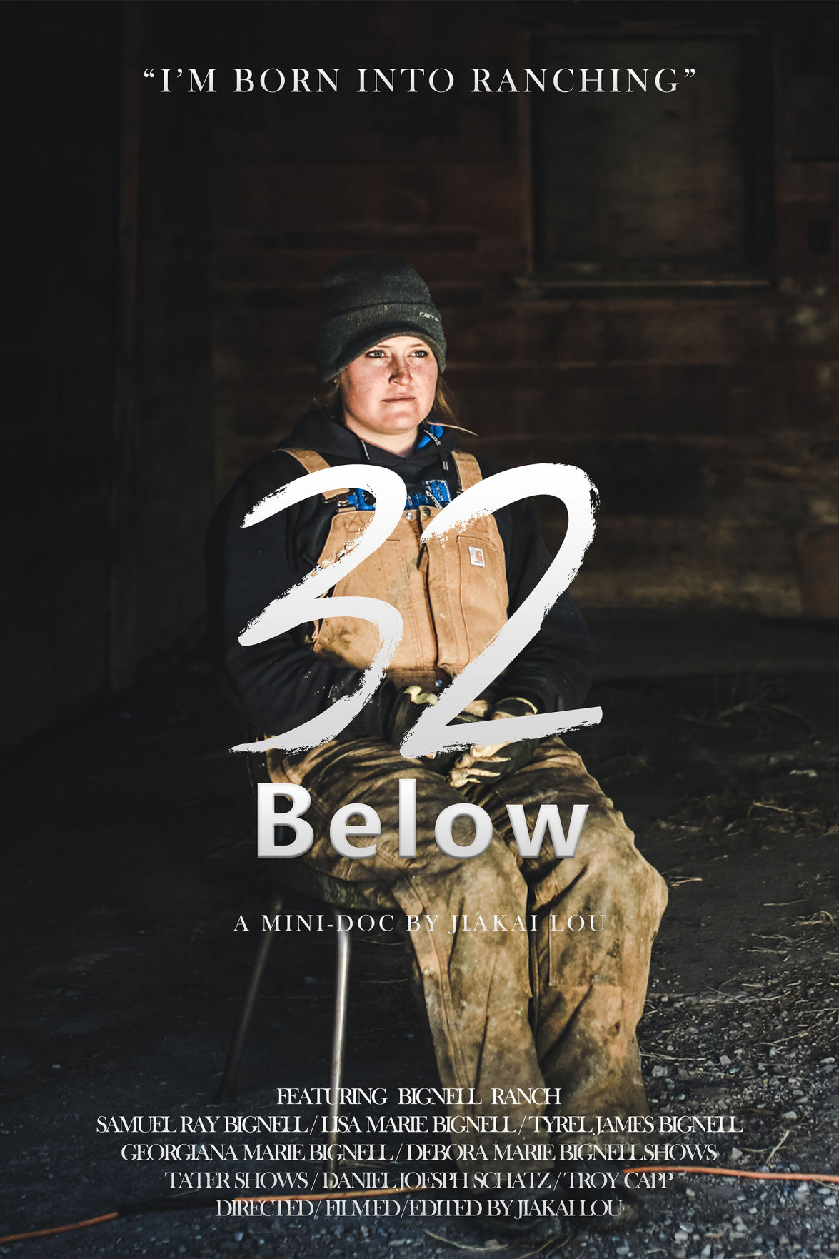 32 Below poster
